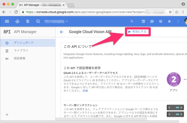 ../_images/enable-vision-api2.jpg